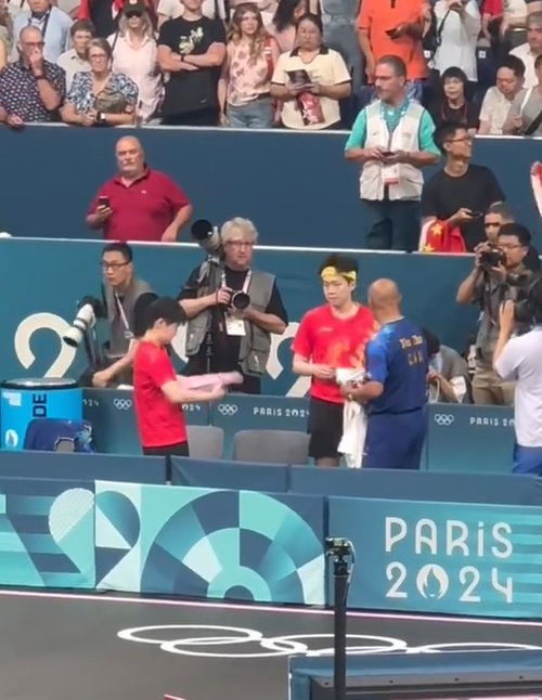 莎頭組合 球拍被惡意踩壞,針對還是無意,游泳隊持續0金