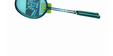 迪士尼逸空雙拍SD21009 M藍色 太極養生醫館羽毛球拍全面解析