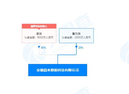 李斌投資成立蔚來數(shù)據(jù)公司，深化計(jì)算機(jī)系統(tǒng)集成服務(wù)布局